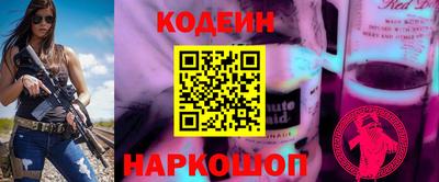 гашик Жуковский