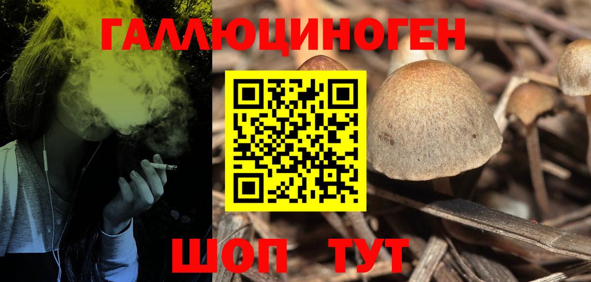 Галлюциногенные грибы Cubensis  Вход с VPN  Кувандык  Псилоцибиновые грибы мицелий 