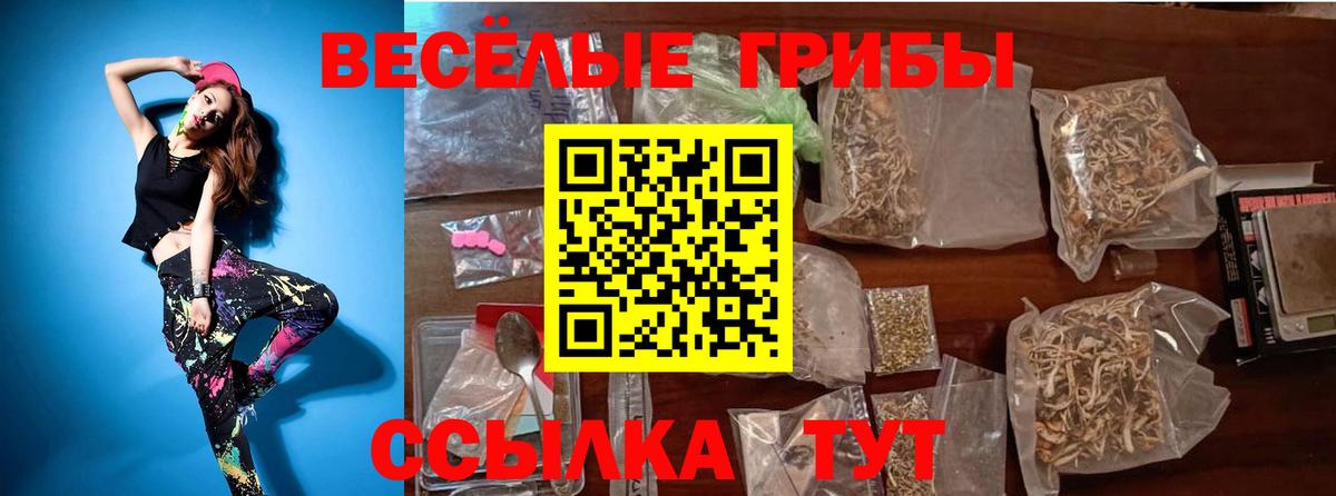 Галлюциногенные грибы Magic Shrooms Кувандык