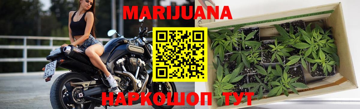 Канабис Ganja  Каннабис Amnesia  МАРИХУАНА семена  Кувандык  Вход с VPN 